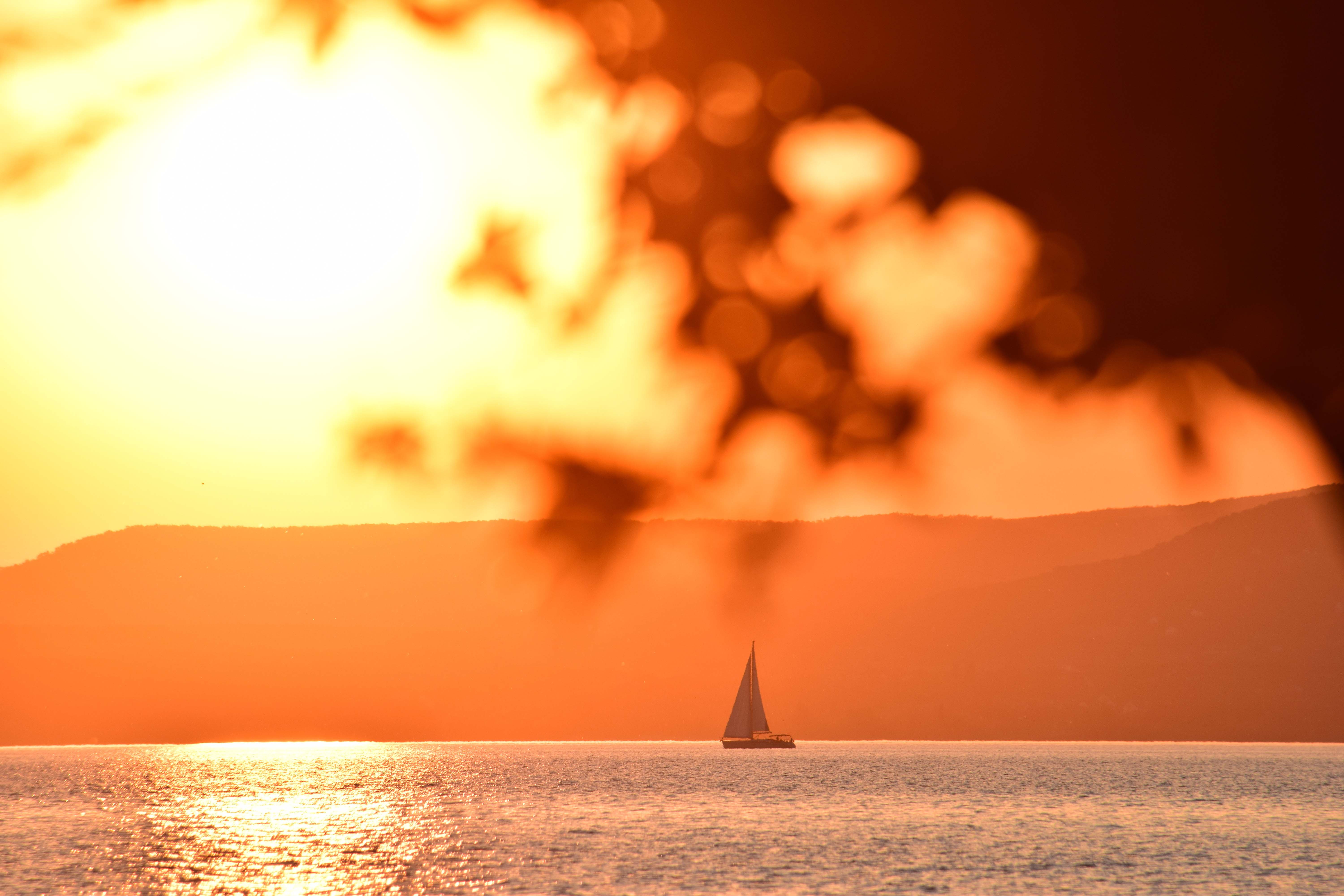 TouchWo触沃：专注触摸交互，引领场景智能，共赴2026新篇章